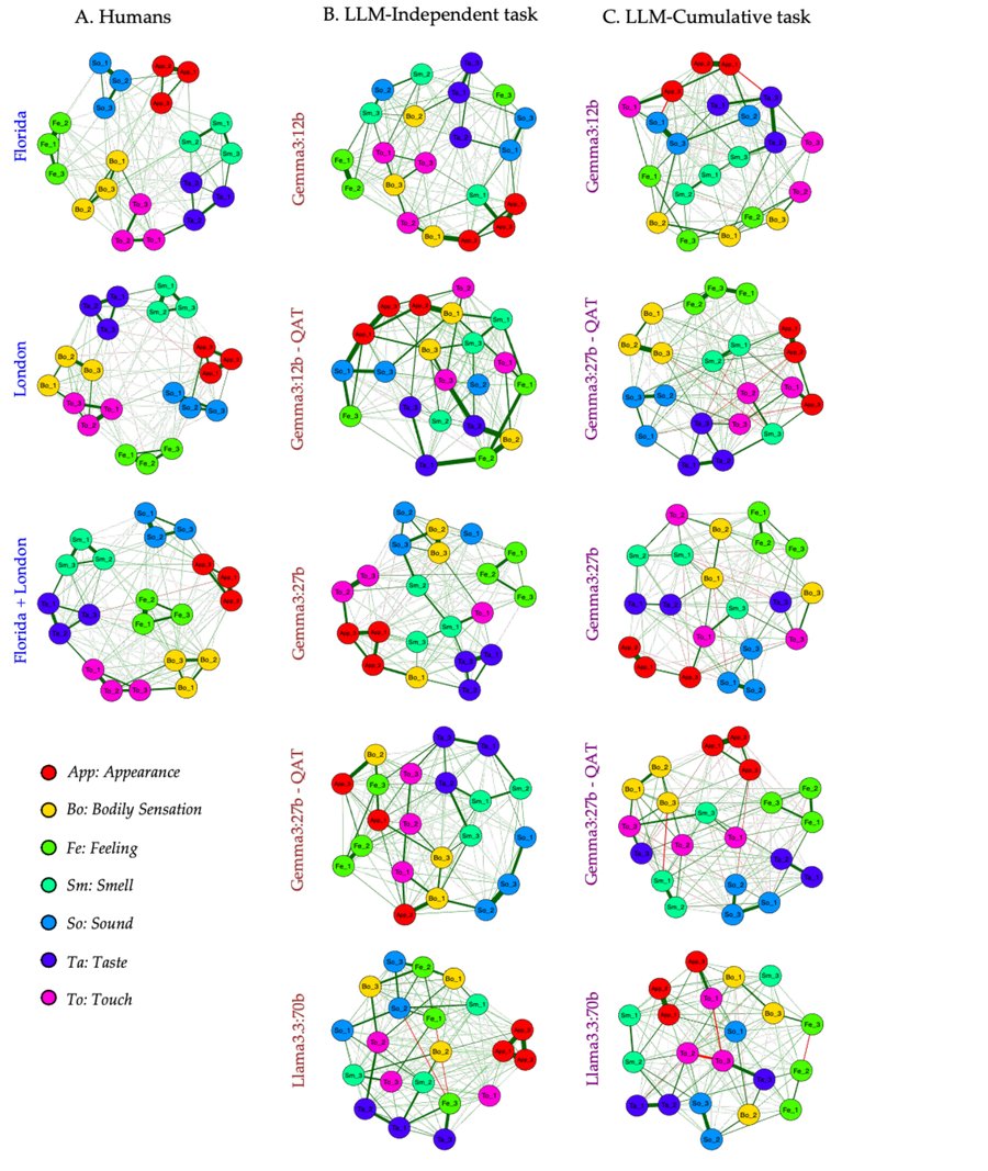 Imagination networks from the PSIQ sensory-modality questionnaire compared across human populations and six LLMs, showing humans cluster consistently while LLMs do not